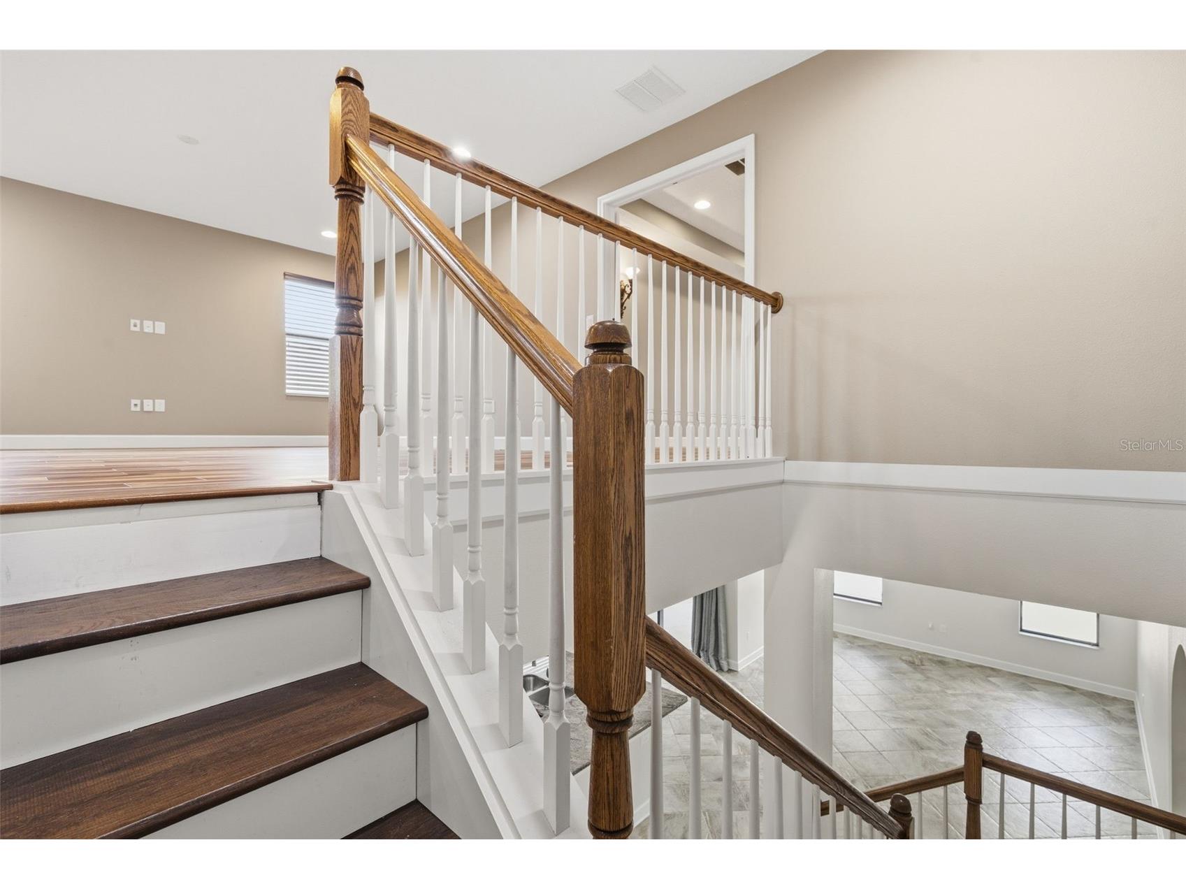 1120 Maza Place Trinity FL 34655 TB8524557 image38