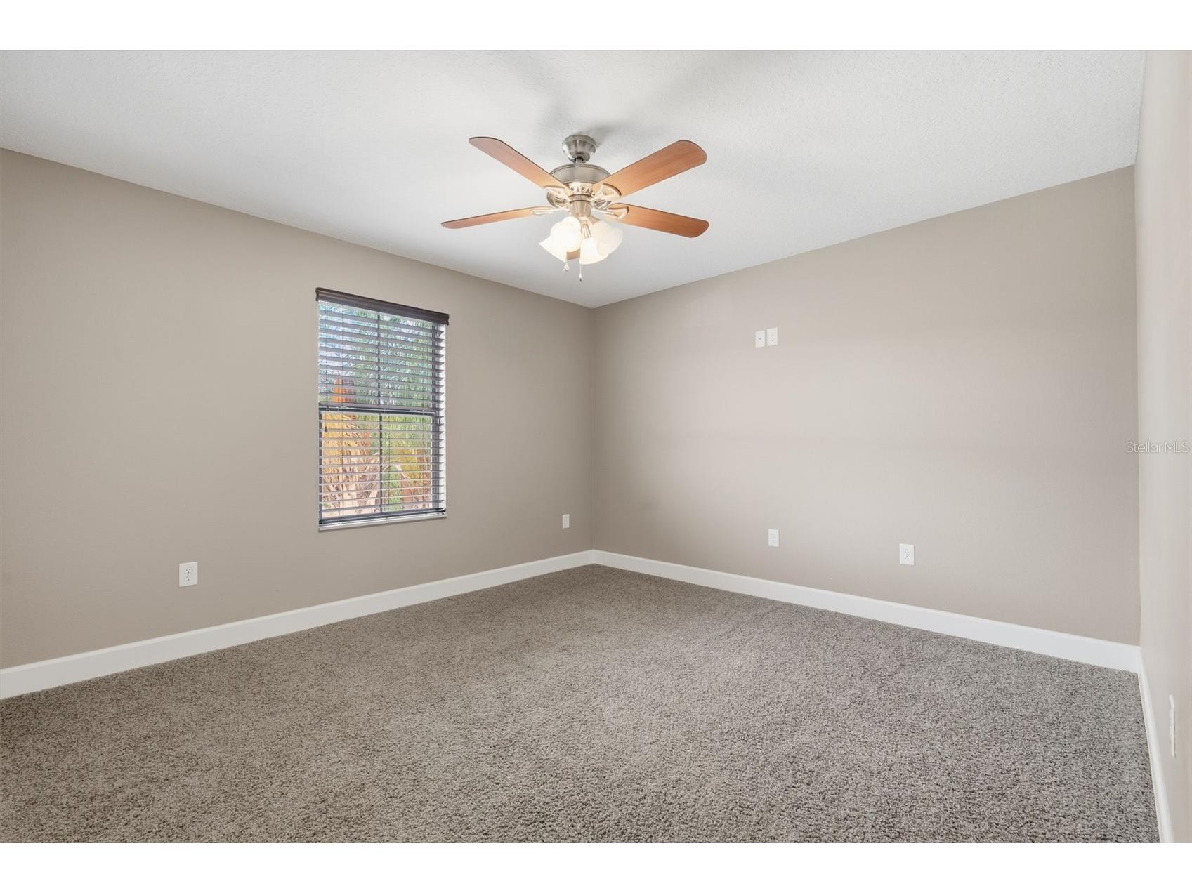 1120 Maza Place Trinity FL 34655 TB8524557 image47