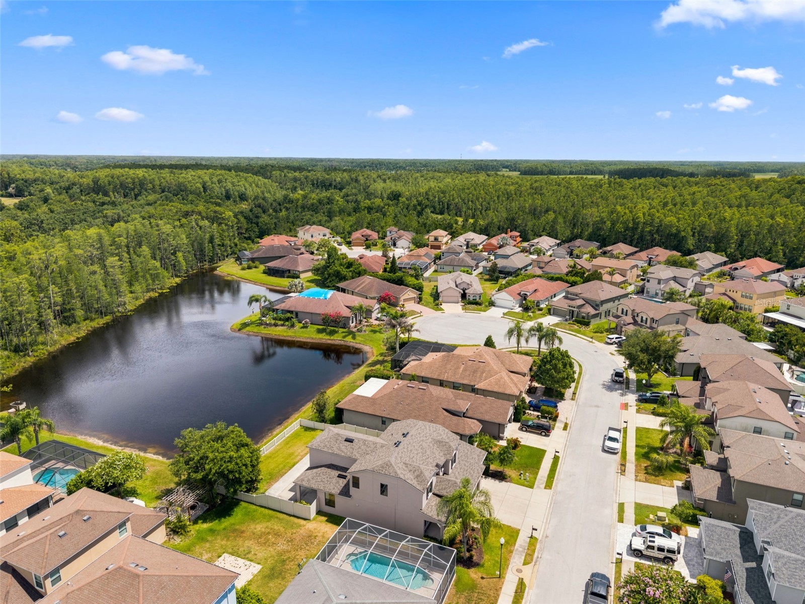 1120 Maza Place Trinity FL 34655 TB8524557 image70