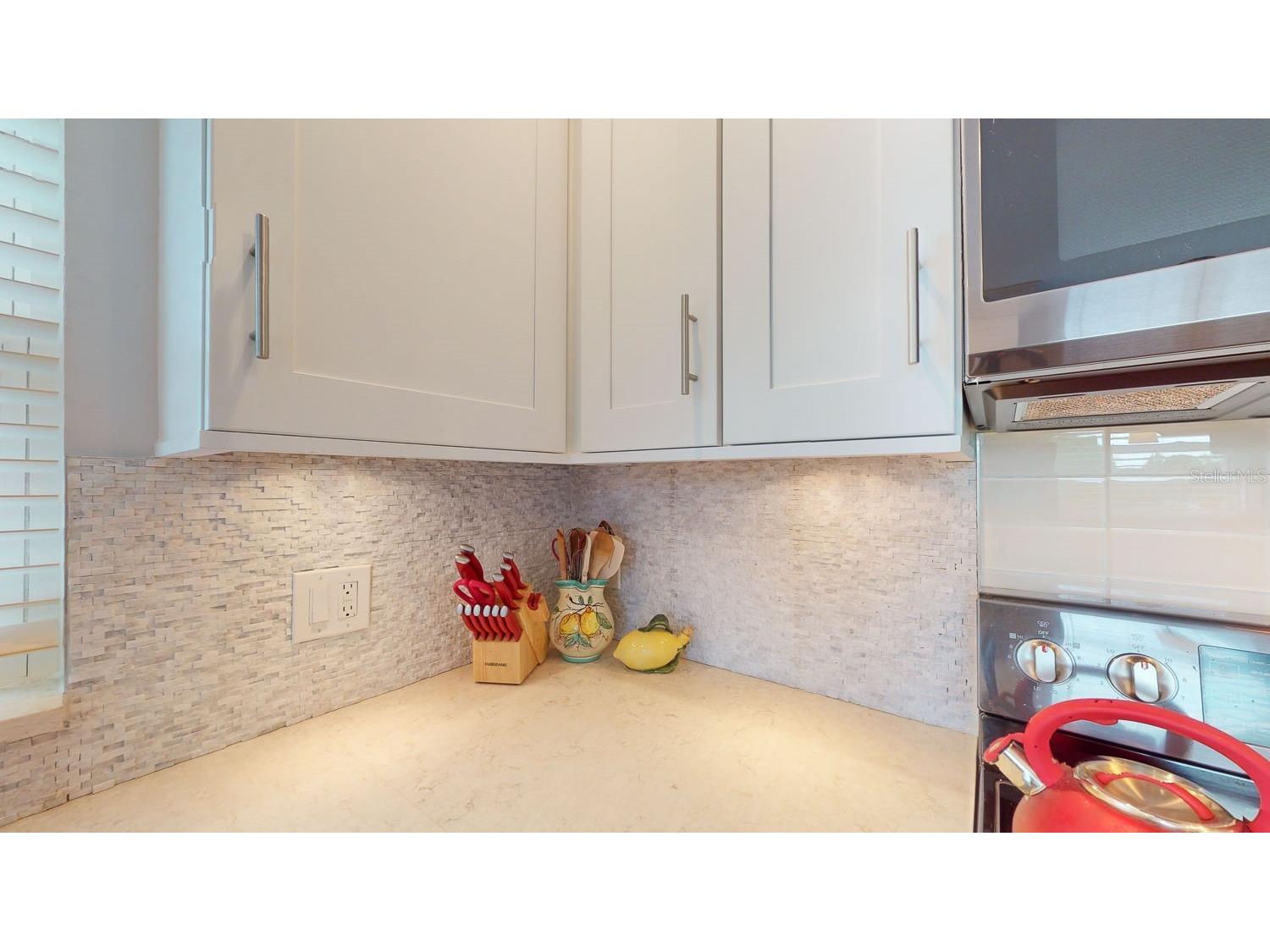 1120 N Shore Drive NE #501 Saint Petersburg FL 33701 - TAMPA BAY TB8501606 image27