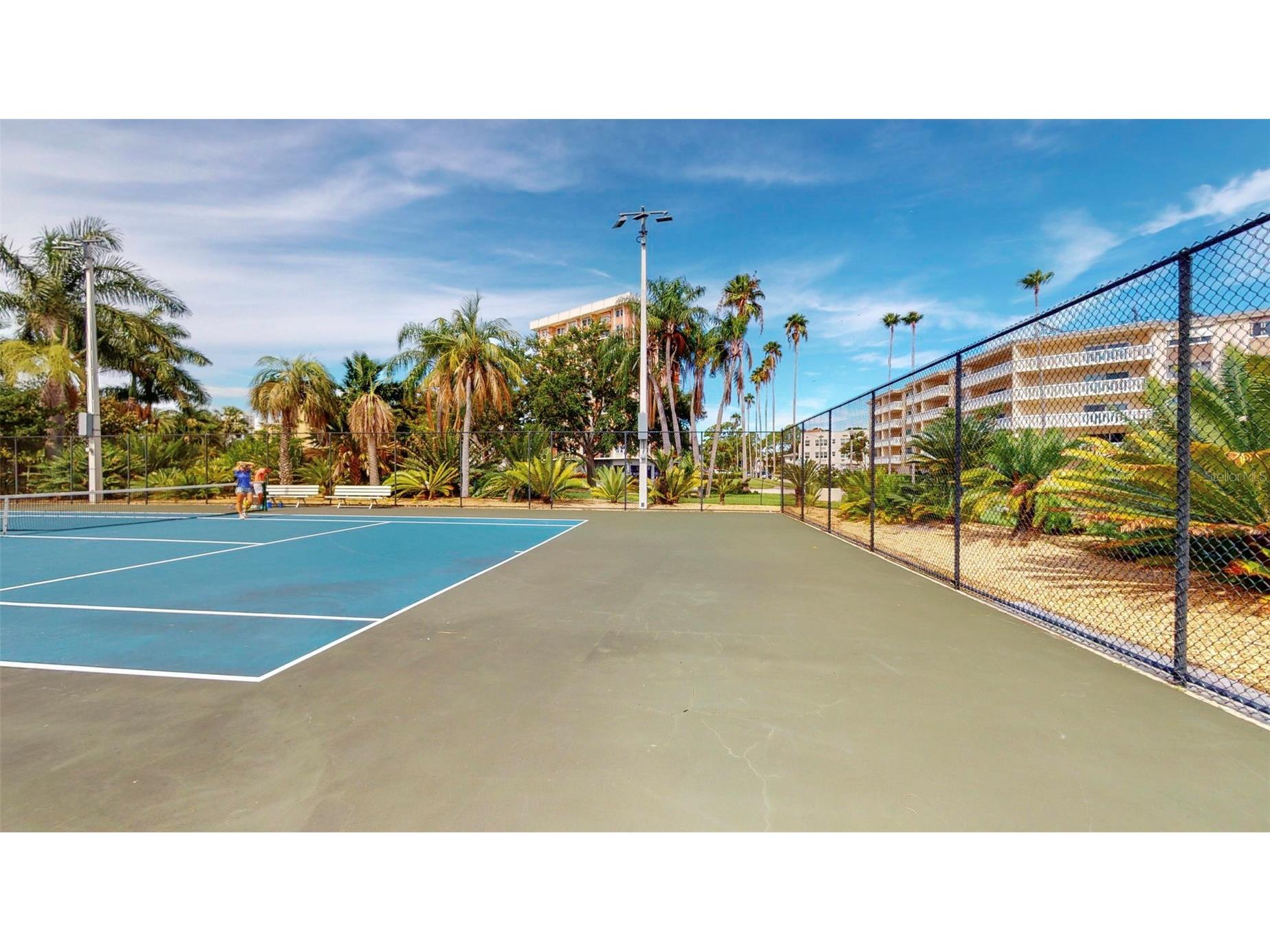 1120 N Shore Drive NE #501 Saint Petersburg FL 33701 - TAMPA BAY TB8501606 image62