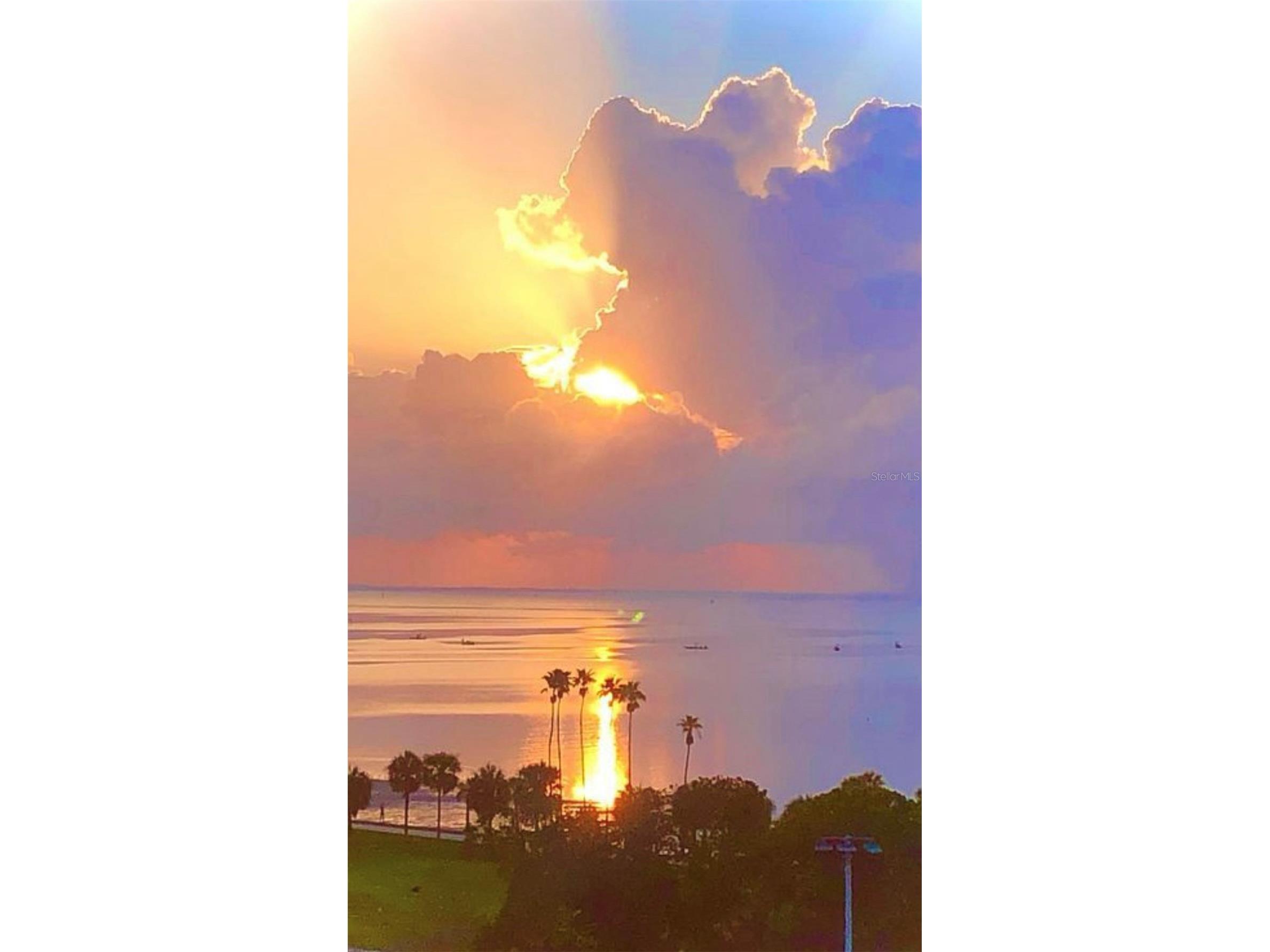 1120 N Shore Drive NE #802 Saint Petersburg FL 33701 TB8386335 image2