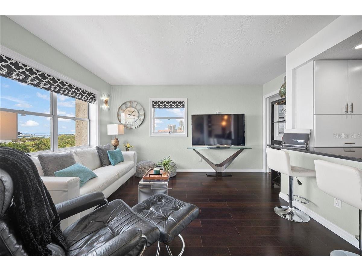 1120 N Shore Drive NE #802 Saint Petersburg FL 33701 TB8386335 image33