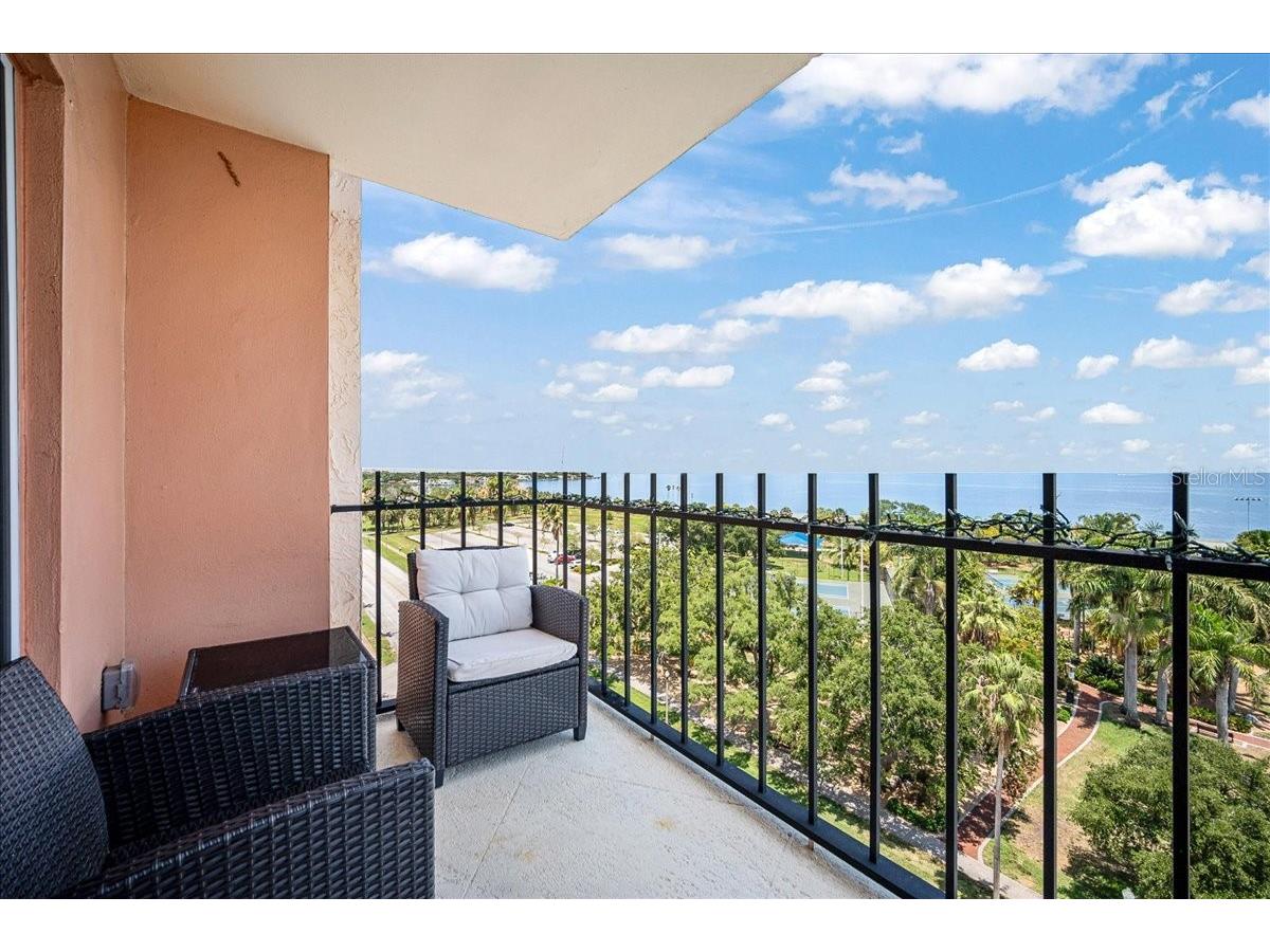 1120 N Shore Drive NE #802 Saint Petersburg FL 33701 TB8386335 image35
