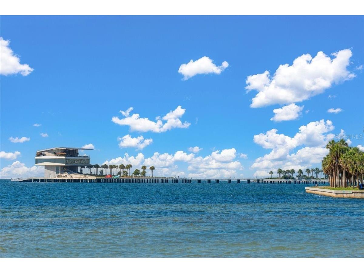 1120 N Shore Drive NE #802 Saint Petersburg FL 33701 TB8386335 image44