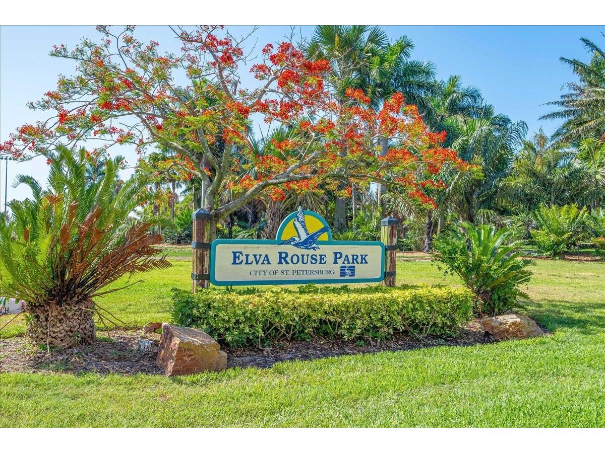 1120 N Shore Drive NE #802 Saint Petersburg FL 33701 TB8386335 image52