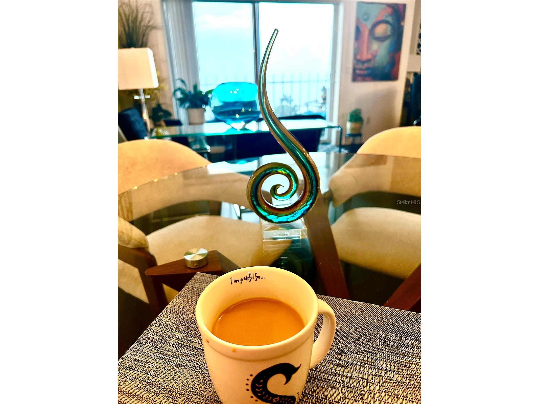 1120 N Shore Drive NE #802 Saint Petersburg FL 33701 TB8386335 image56