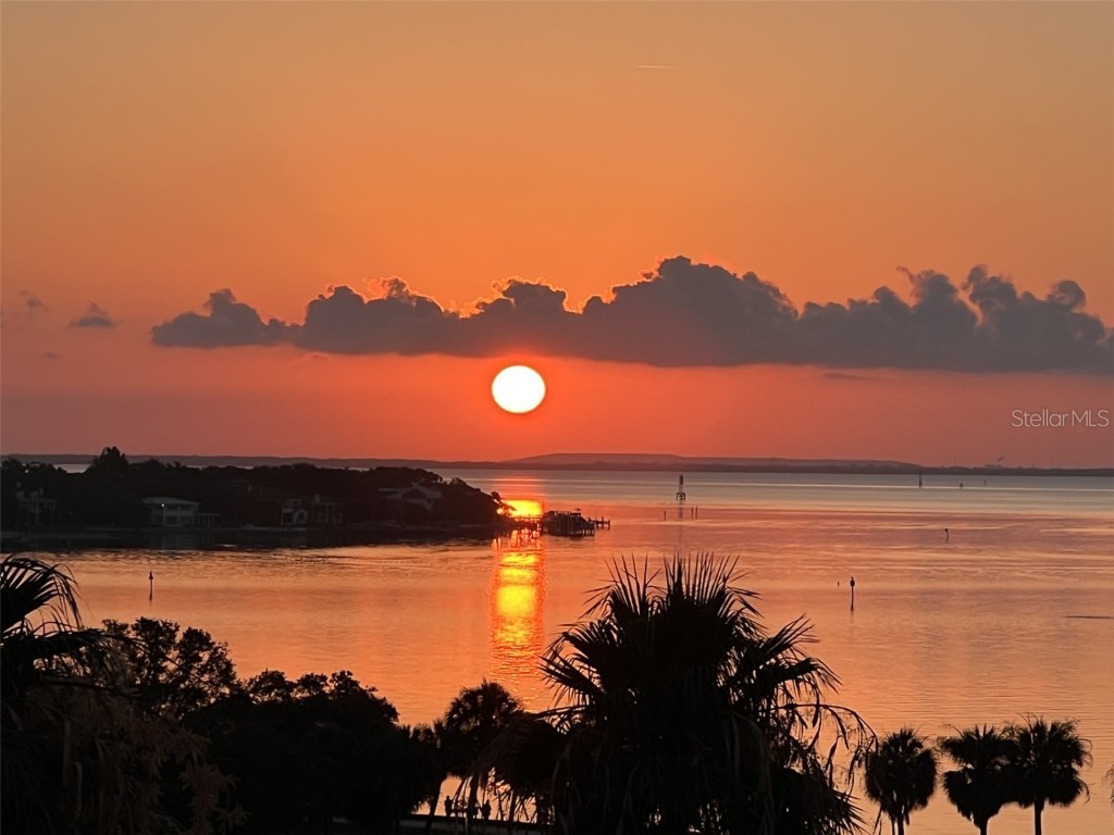 1120 N Shore Drive NE #803 Saint Petersburg FL 33701 - TAMPA BAY U8226740 image1