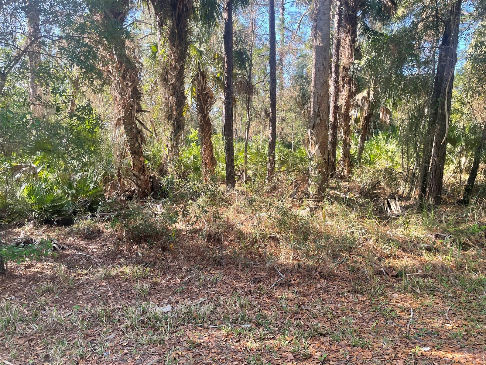 1120 NE 3rd Street Crystal River FL 34429 W7883701 image1