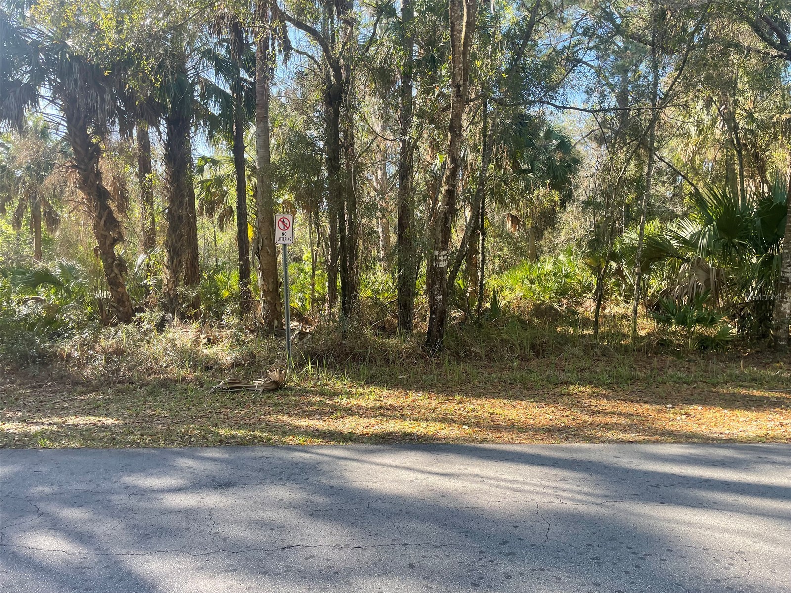 1120 NE 3rd Street Crystal River FL 34429 W7883701 image2