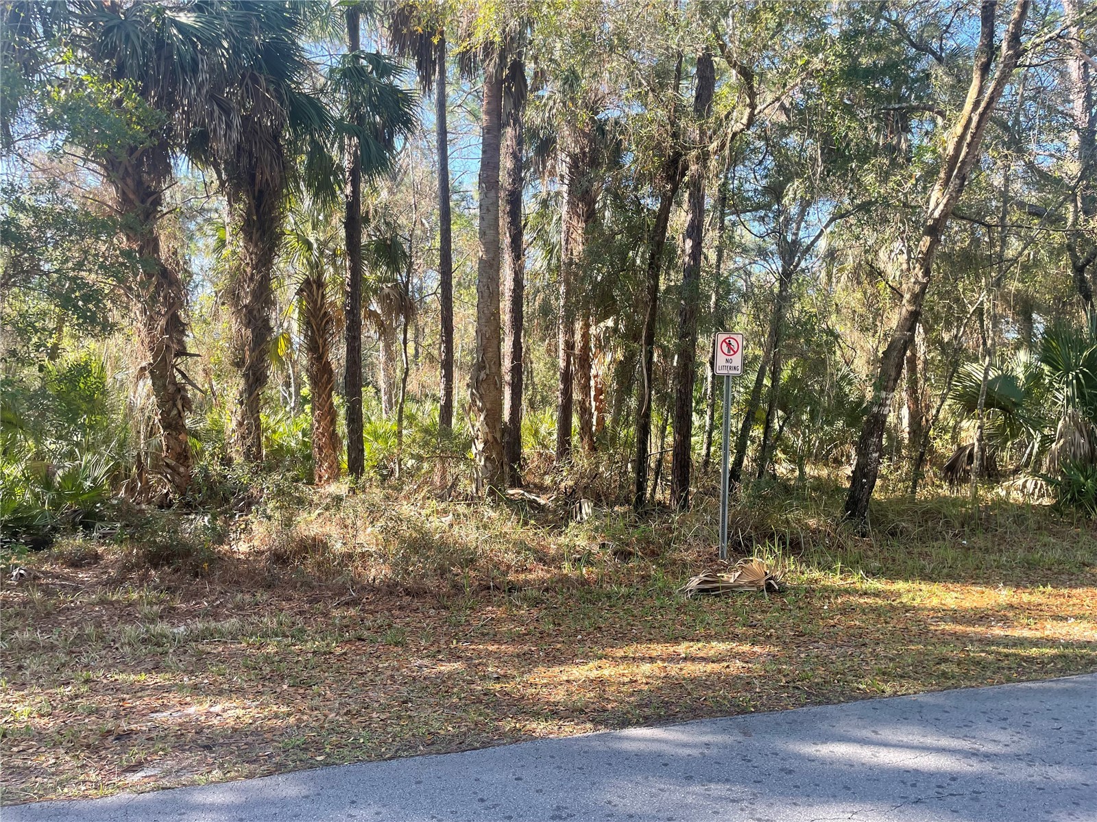1120 NE 3rd Street Crystal River FL 34429 W7883701 image3