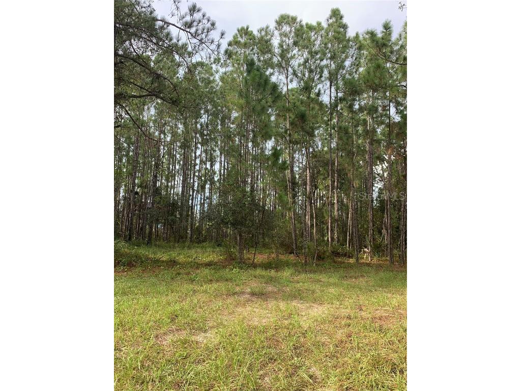1120 Poinciana Drive Indian Lake Estates FL 33855 S5101481 image1