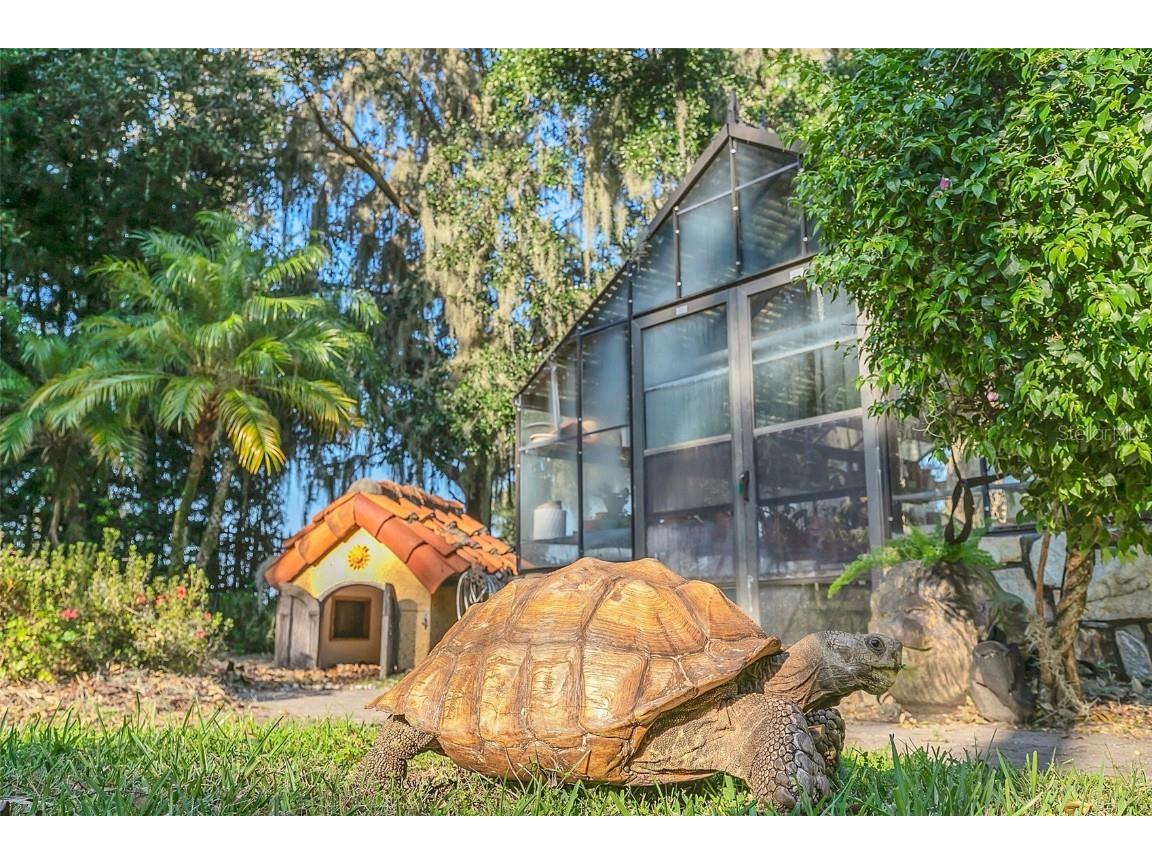 1120 Preserve Point Drive Winter Park FL 32789 - LAKE BERRY O6350054 image77