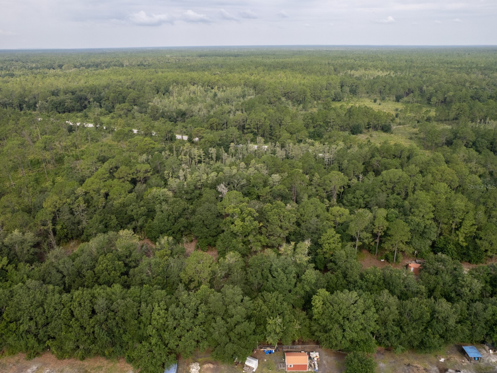 1120 Saddlewood Boulevard Lakeland FL 33809 L4963608 image41