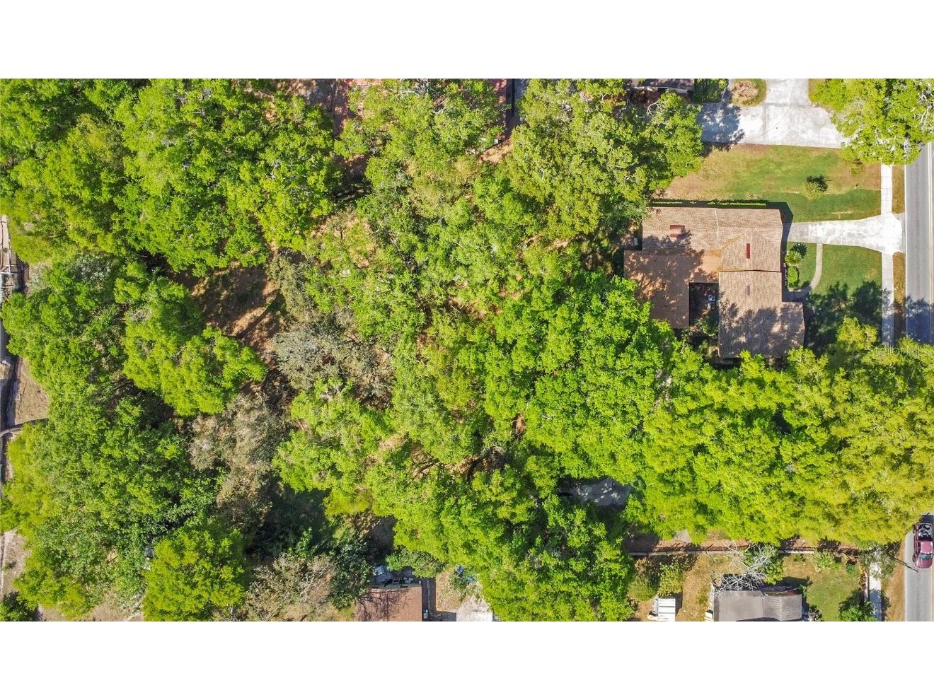 1120 Sheeler Avenue Apopka FL 32703 O6292079 image23