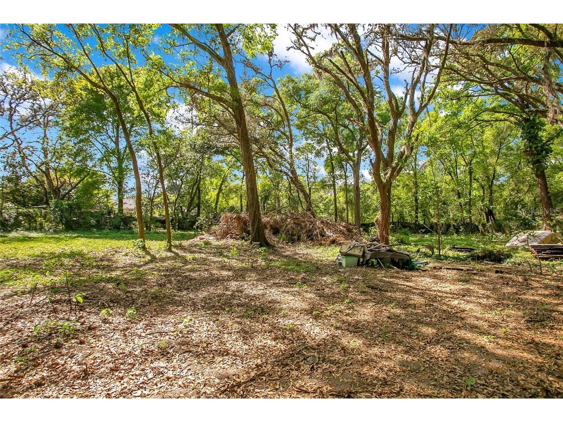 1120 Sheeler Avenue Apopka FL 32703 O6292079 image3