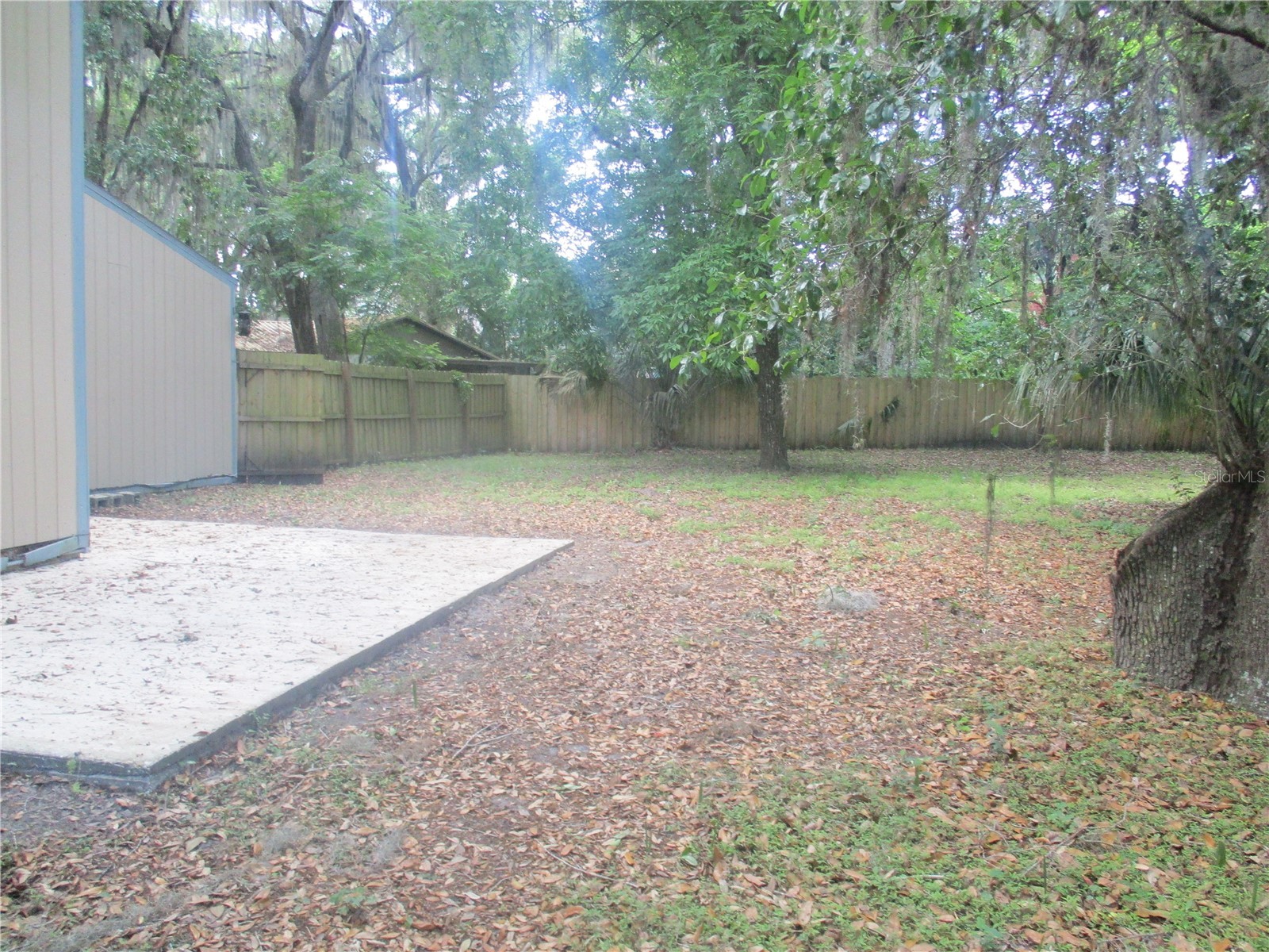 1120 SW 19th Place Gainesville FL 32601 GC539937 image26