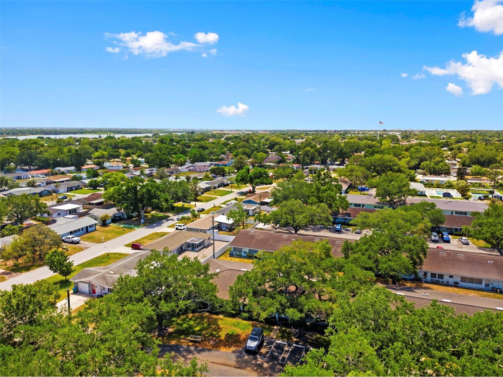 11200 102nd Avenue #115 Seminole FL 33778 TB8498836 image35