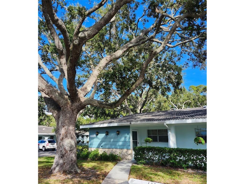 11200 102nd Avenue #137 Seminole FL 33778 TB8445811 image26