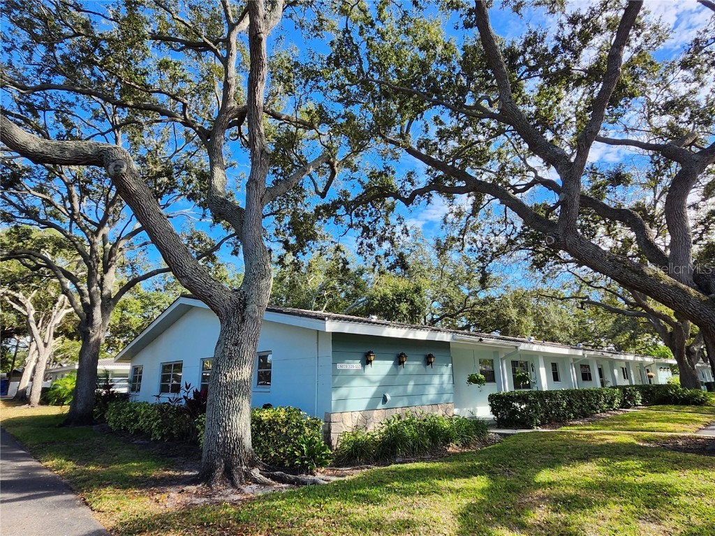 11200 102nd Avenue #137 Seminole FL 33778 TB8445811 image27