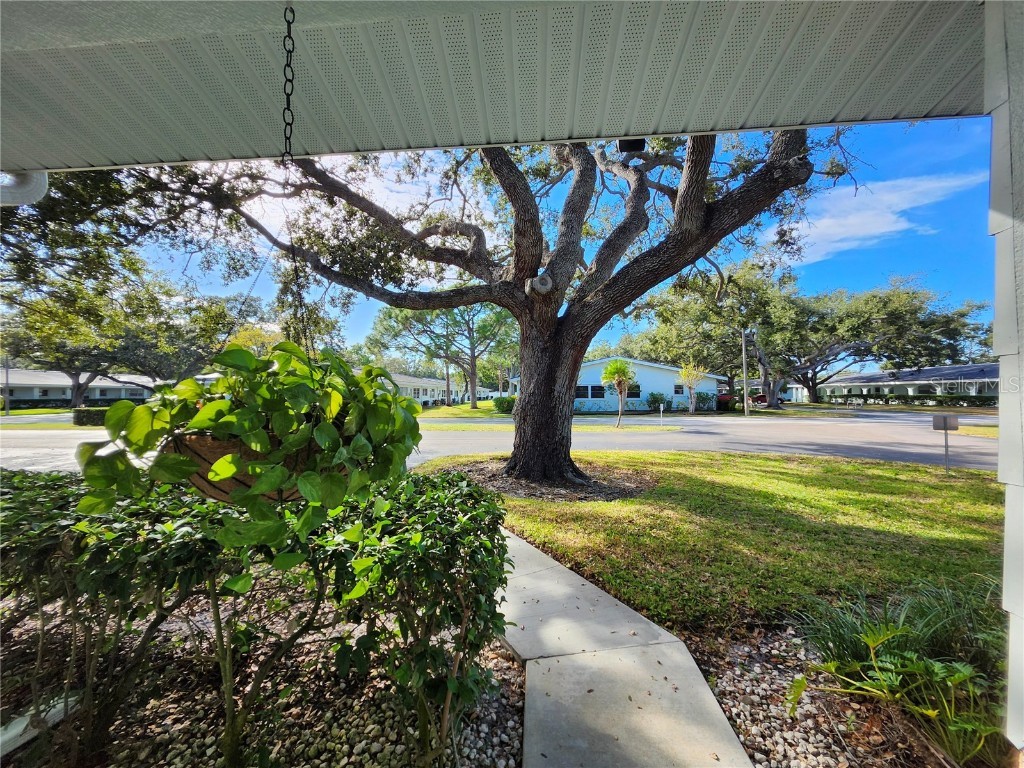 11200 102nd Avenue #137 Seminole FL 33778 TB8445811 image29