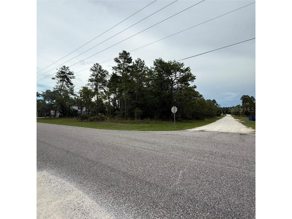 11200 Marvelwood Road Weeki Wachee FL 34614 TB8393907 image2