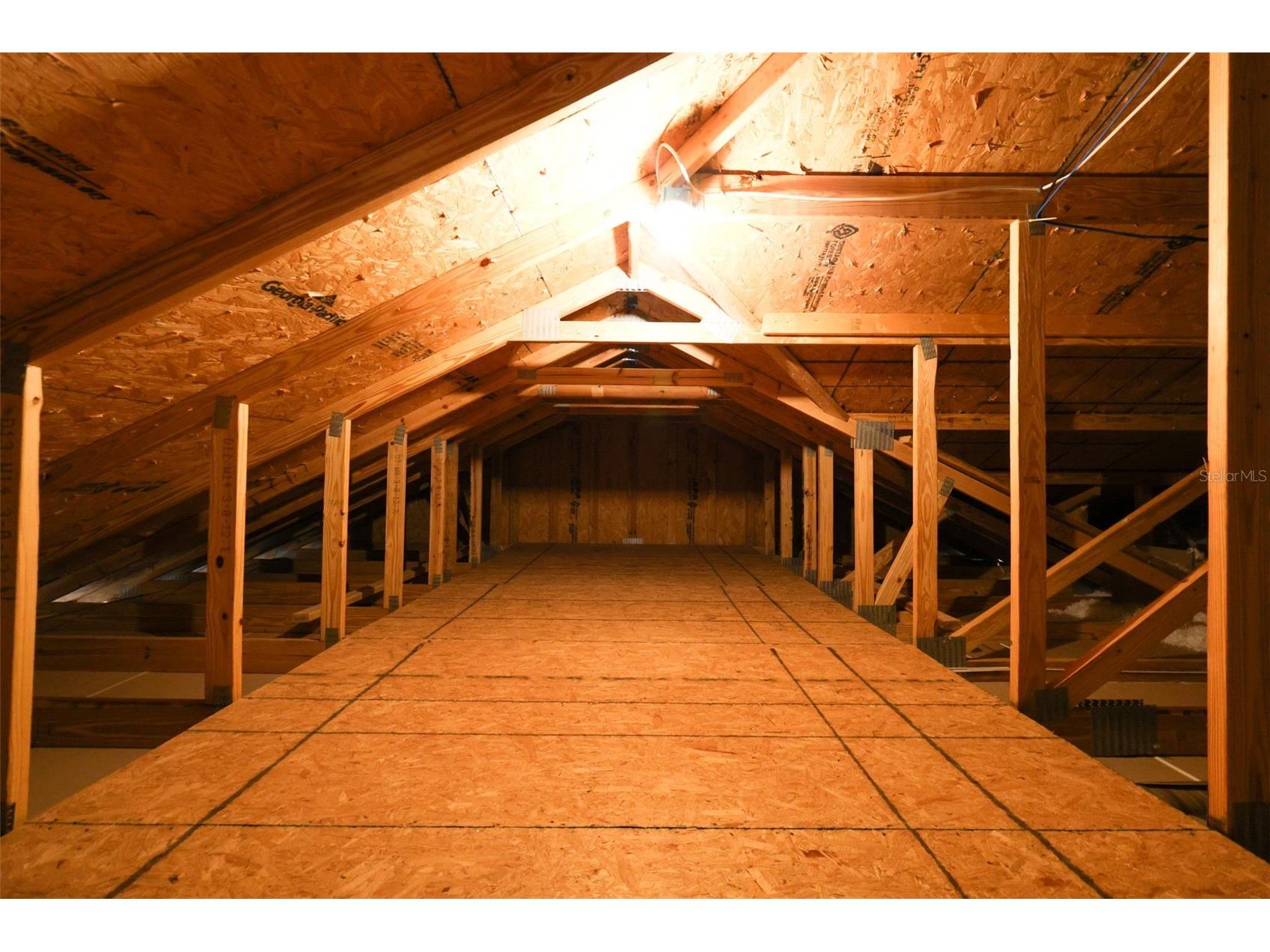 11200 Midora Terrace Oxford FL 34484 G5104087 image28