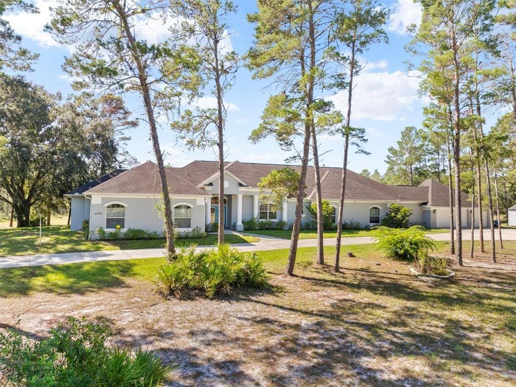 11200 Woodland Waters Boulevard Weeki Wachee FL 34613 W7879951 image1