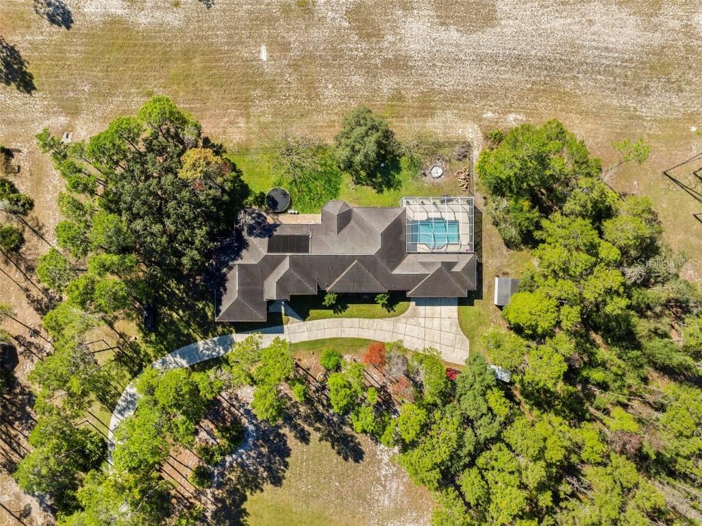 11200 Woodland Waters Boulevard Weeki Wachee FL 34613 W7879951 image5