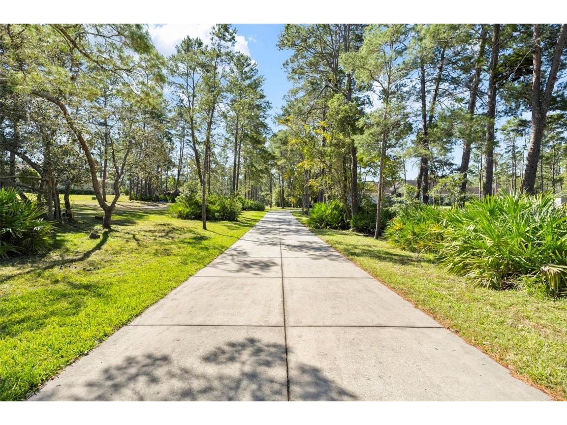 11200 Woodland Waters Boulevard Weeki Wachee FL 34613 W7879951 image6