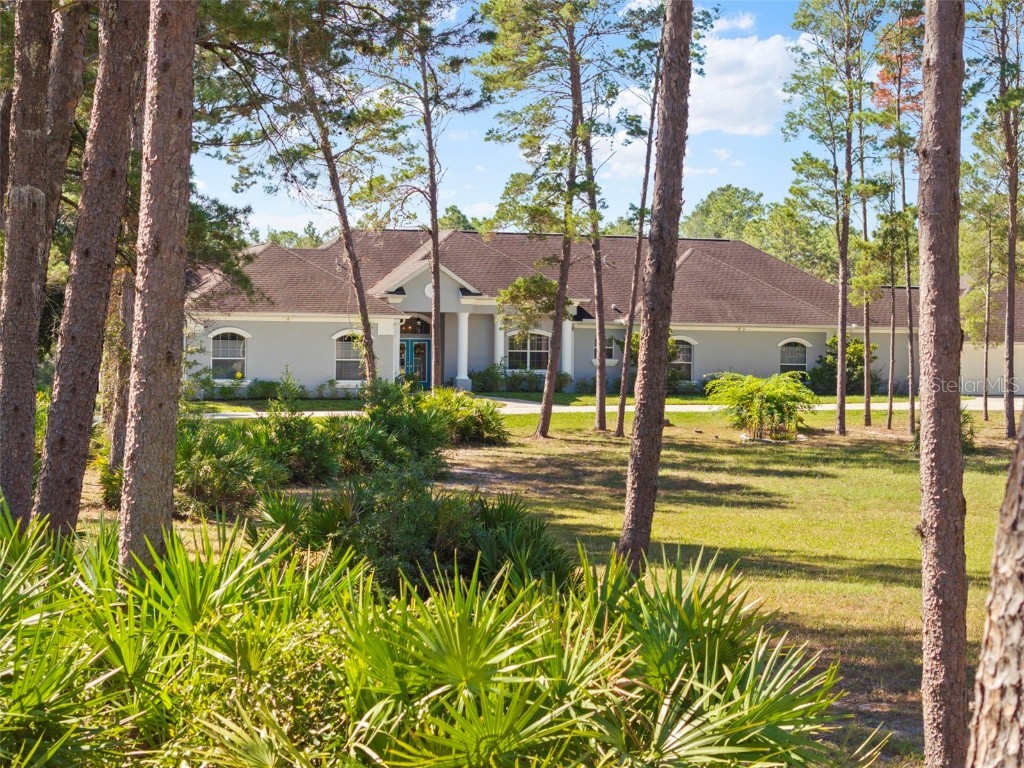 11200 Woodland Waters Boulevard Weeki Wachee FL 34613 W7879951 image77