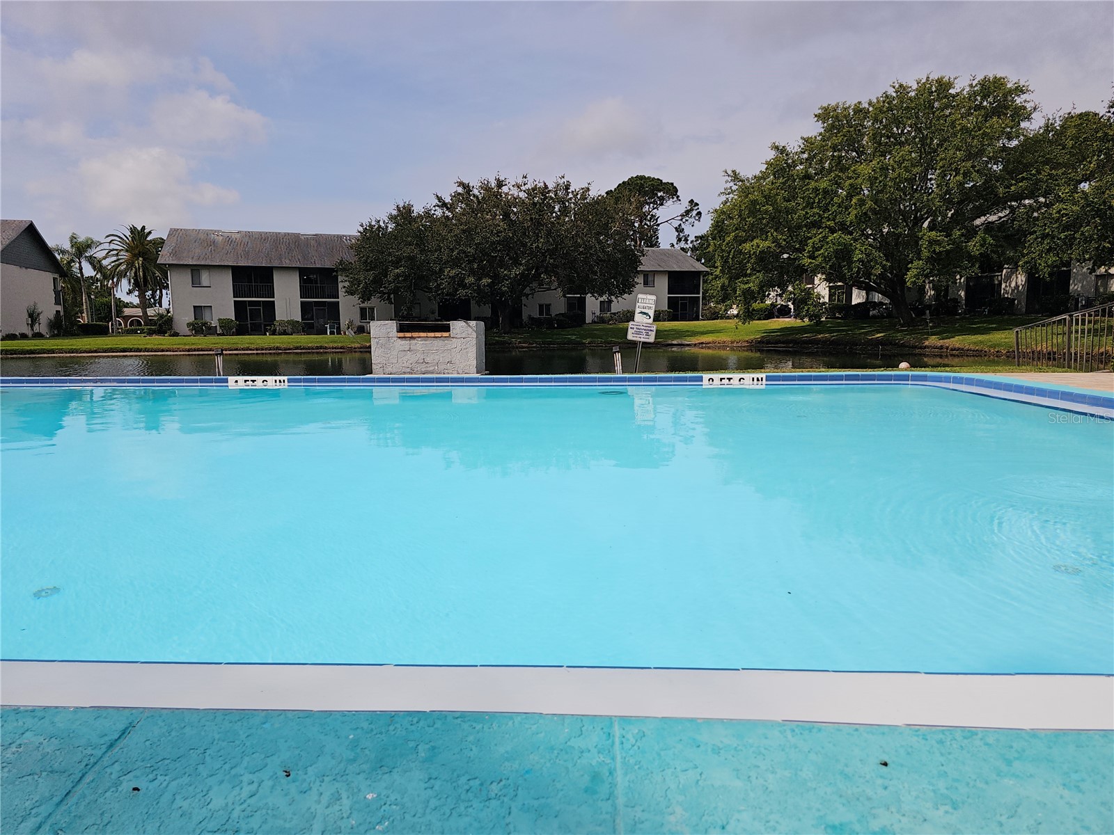 11201 122nd Avenue #126 Largo FL 33778 TB8506578 image24