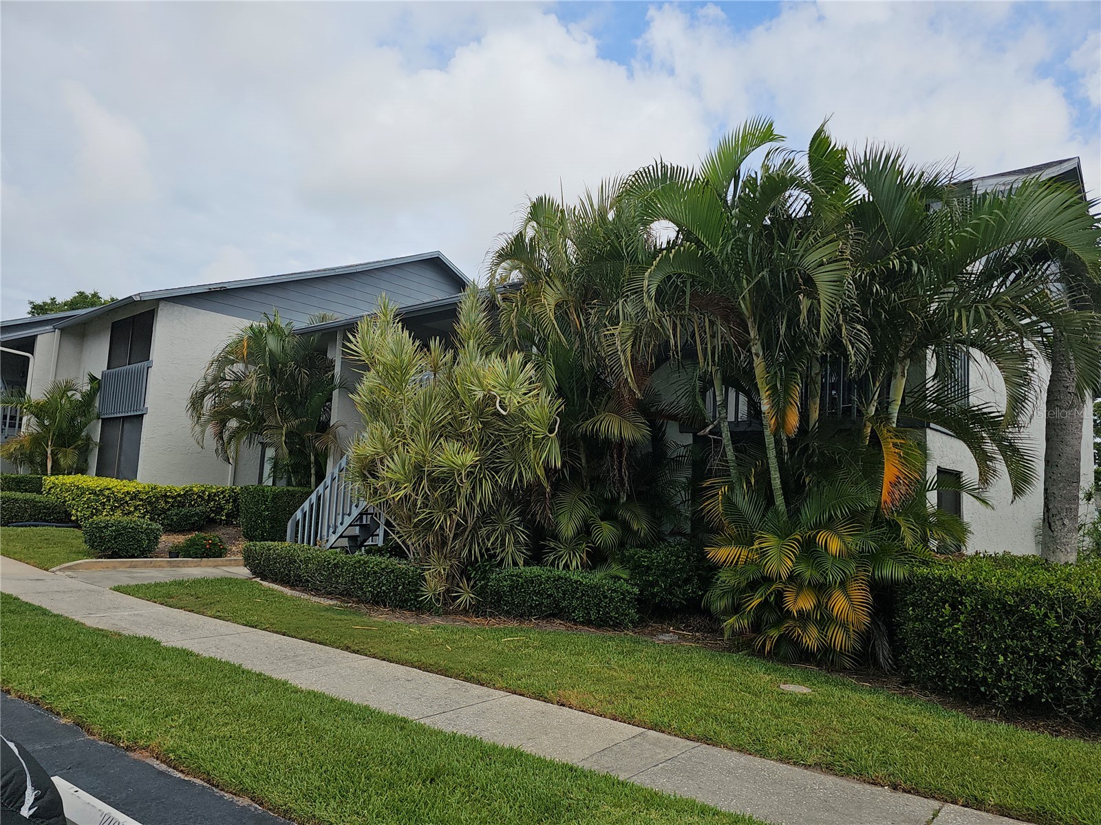 11201 122nd Avenue #126 Largo FL 33778 TB8506578 image30
