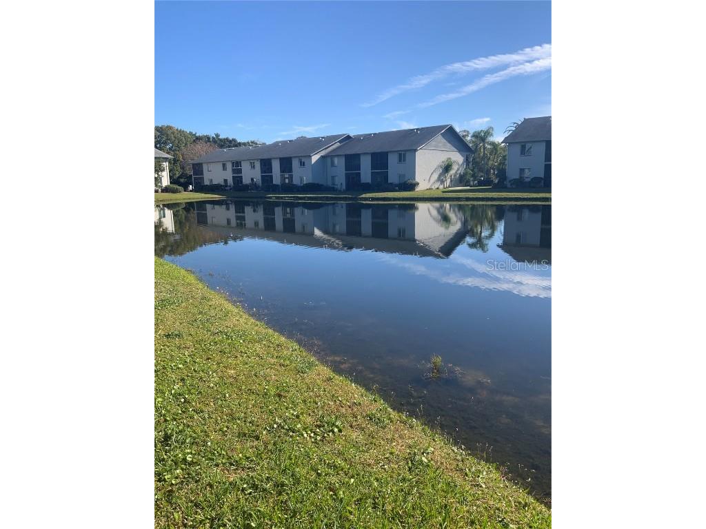 11201 122nd Avenue #138 Largo FL 33778 TB8458165 image21