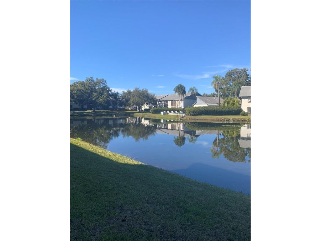 11201 122nd Avenue #138 Largo FL 33778 TB8458165 image22