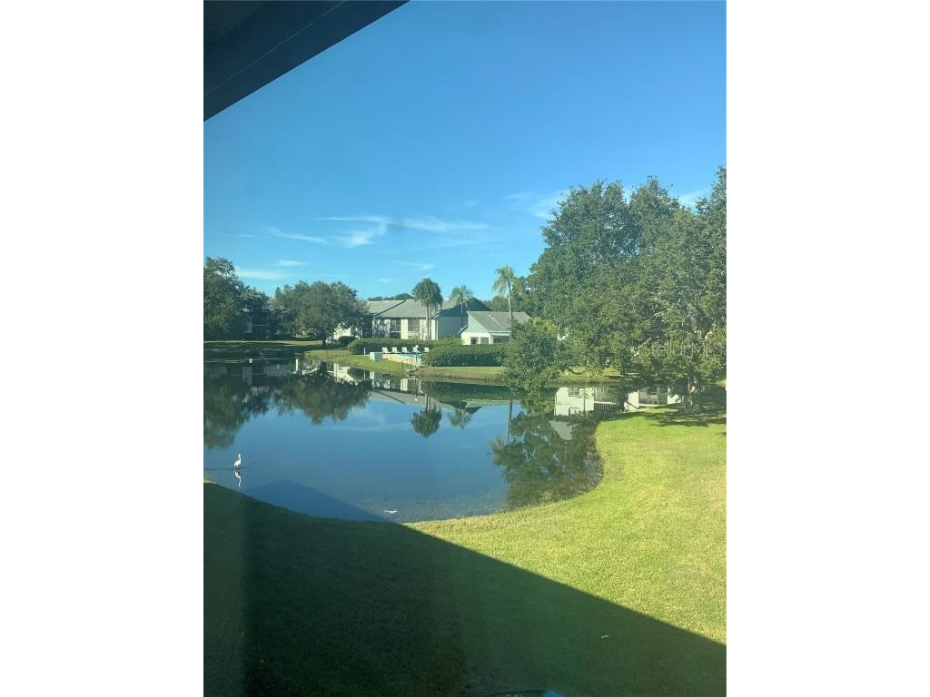 11201 122nd Avenue #138 Largo FL 33778 TB8458165 image8