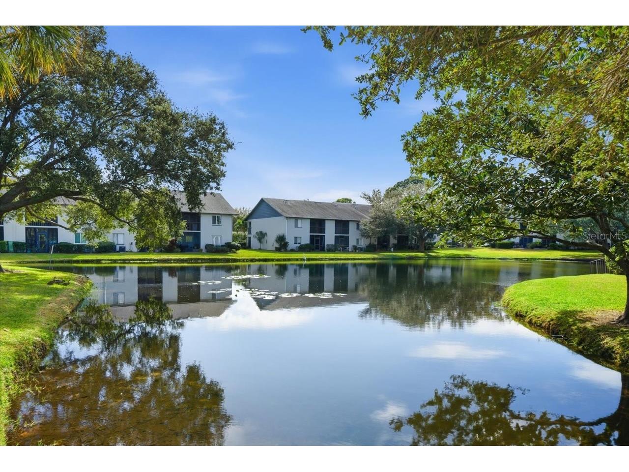 11201 122nd Avenue #159 Largo FL 33778 TB8468443 image1