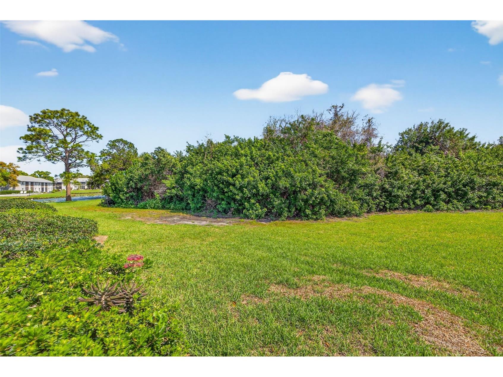 11201 122nd Avenue #207 Largo FL 33778 TB8490062 image26
