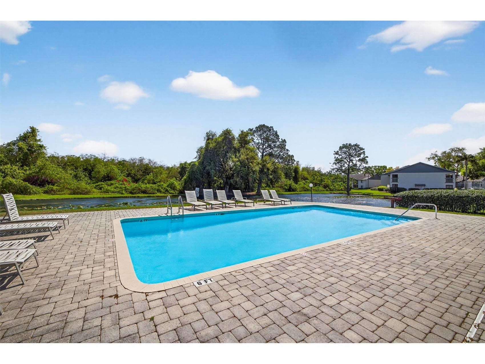 11201 122nd Avenue #207 Largo FL 33778 TB8490062 image28