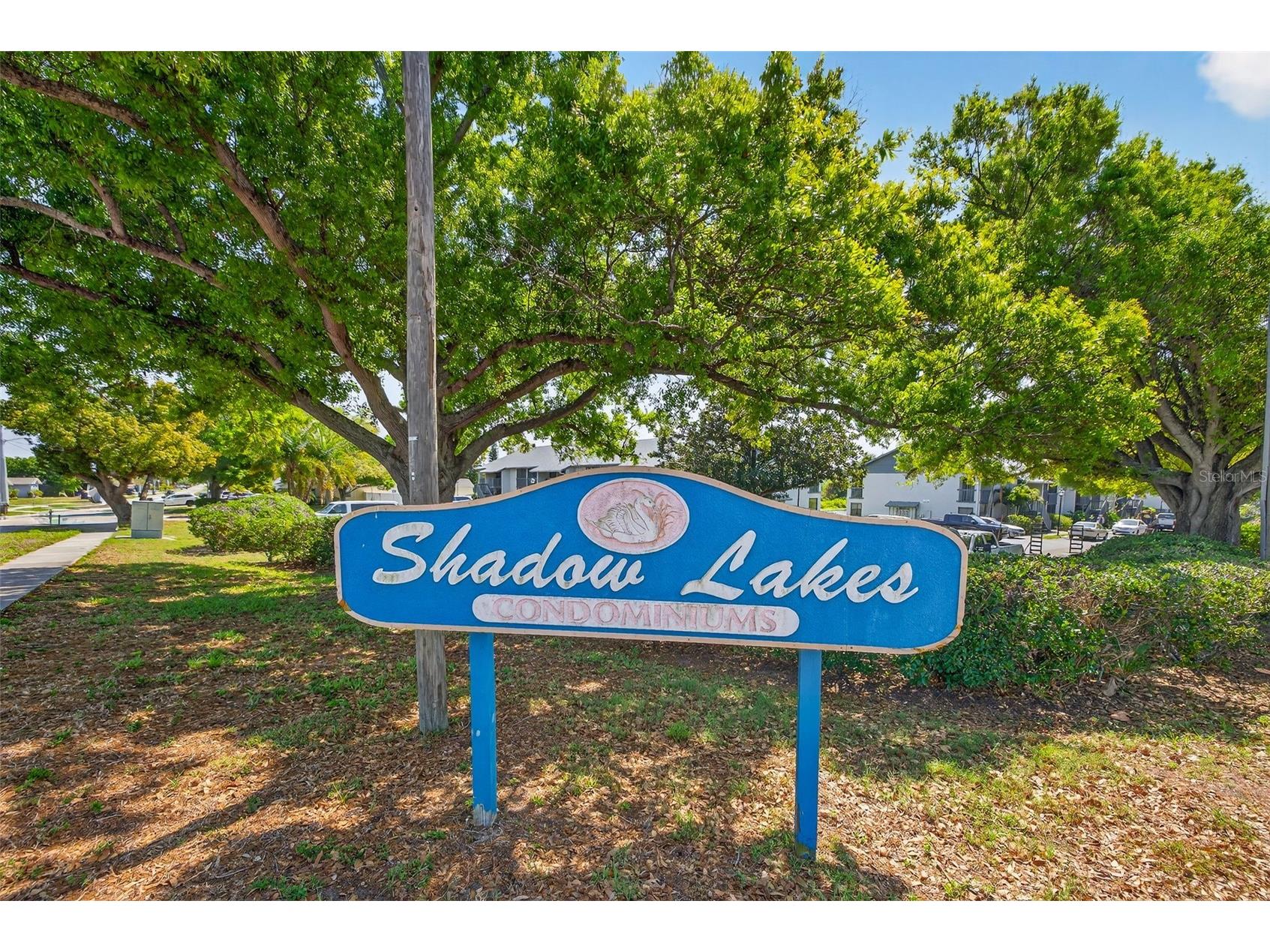11201 122nd Avenue #207 Largo FL 33778 TB8490062 image29