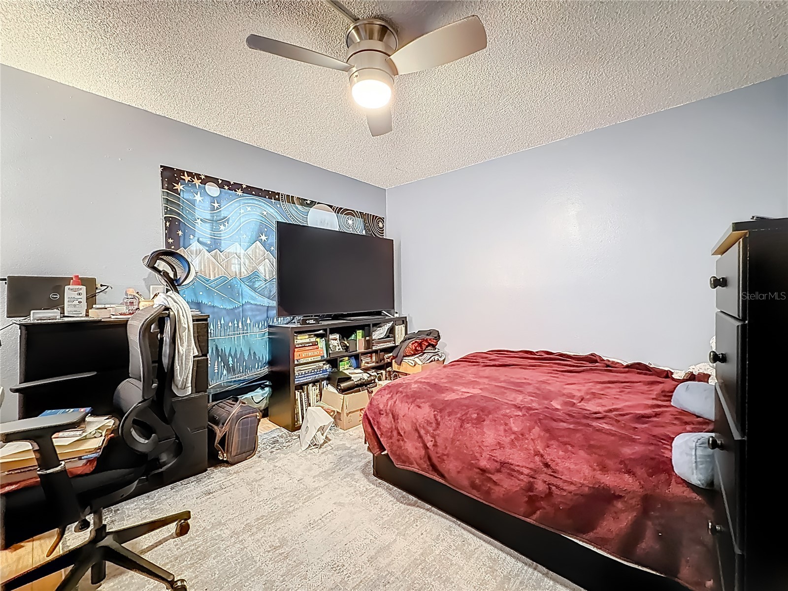 11201 122nd Avenue #231 Largo FL 33778 TB8504123 image11