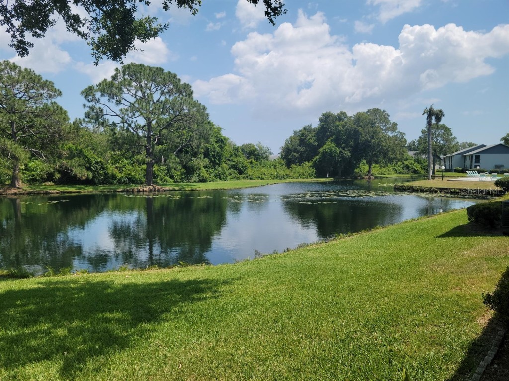 11201 122nd Avenue #239 Largo FL 33778 U8200732 image1