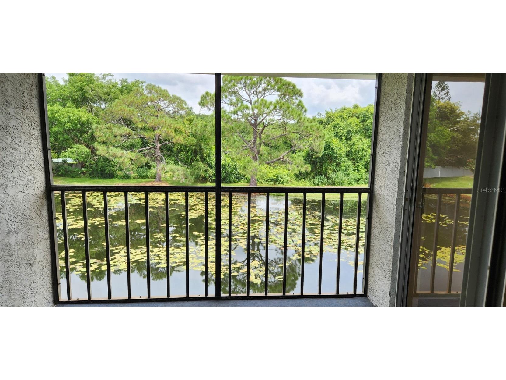 11201 122nd Avenue #L-232 Largo FL 33778 TB8443340 image3