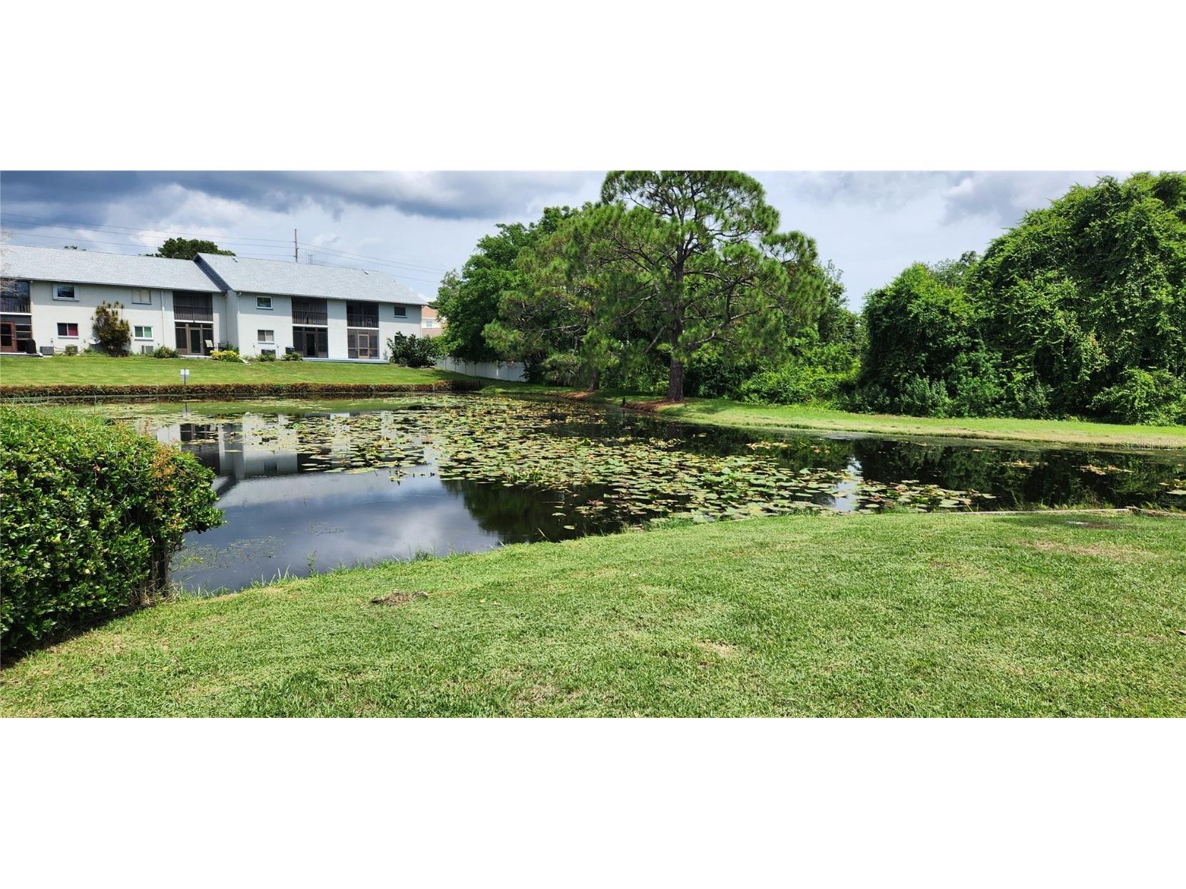 11201 122nd Avenue #L-232 Largo FL 33778 TB8443340 image30