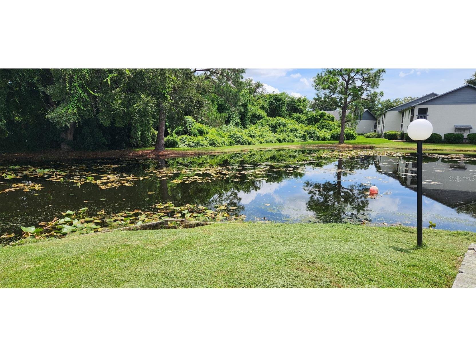 11201 122nd Avenue #L-232 Largo FL 33778 TB8443340 image32