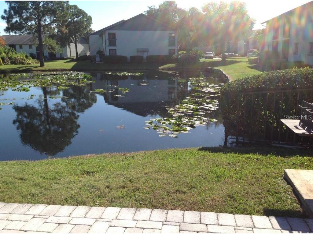 11201 122nd Avenue #L-232 Largo FL 33778 TB8473570 image28
