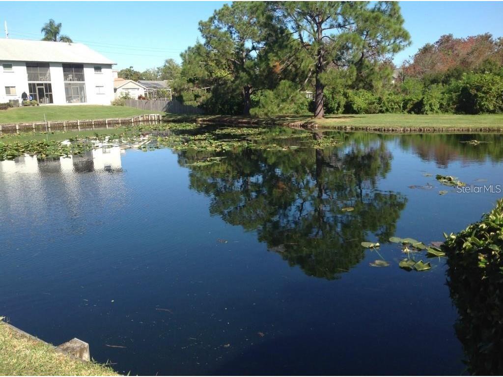 11201 122nd Avenue #L-232 Largo FL 33778 TB8473570 image32