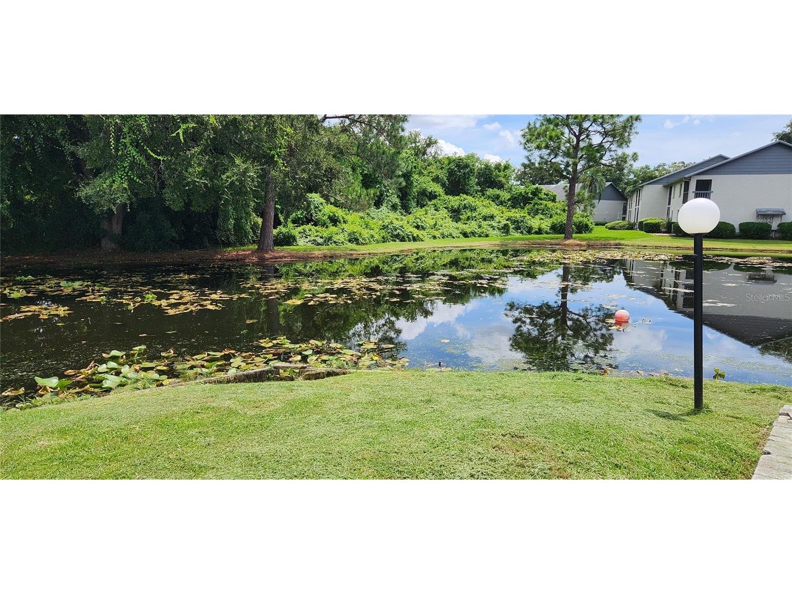 11201 122nd Avenue #L-232 Largo FL 33778 TB8473570 image44