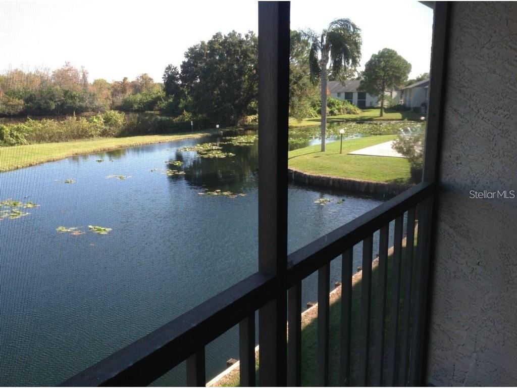 11201 122nd Avenue #L-232 Largo FL 33778 TB8473570 image7