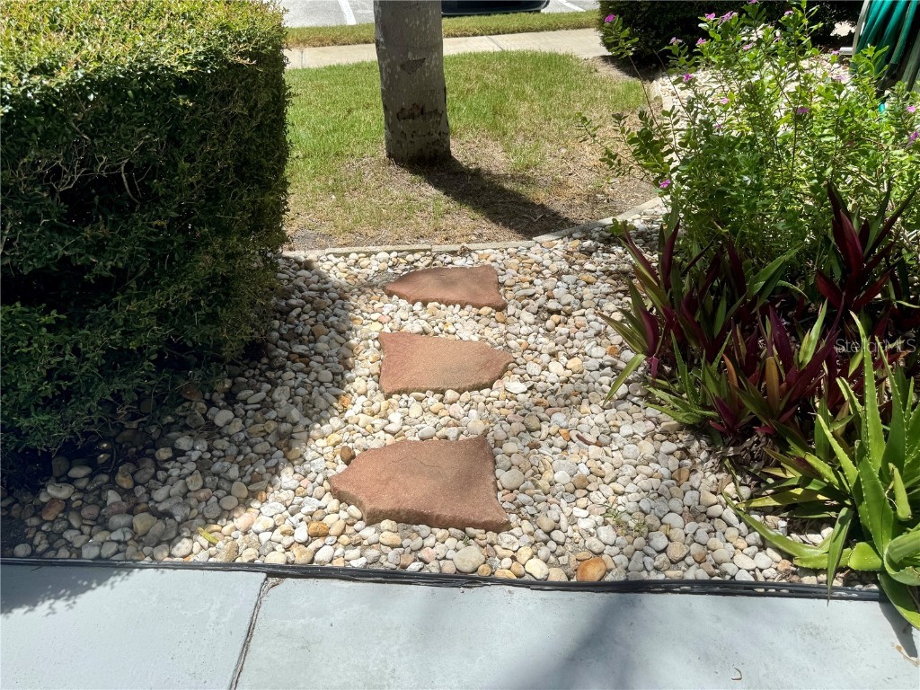 11201 80th Avenue #101 Seminole FL 33772 TB8441664 image28